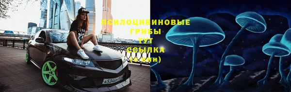 таблы Бородино