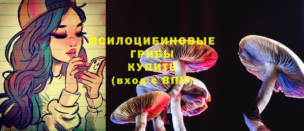 mix Бронницы