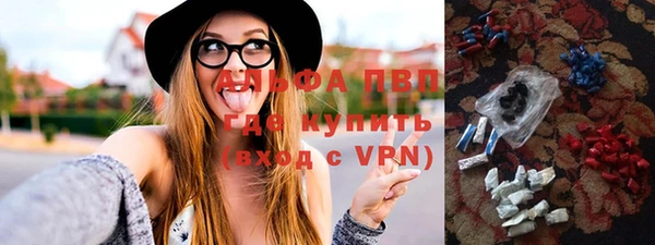 таблы Бородино