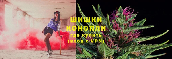 таблы Бородино