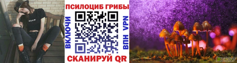 Псилоцибиновые грибы мицелий  где найти наркотики  Гороховец 
