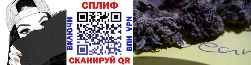 Бошки Шишки планчик  где купить   Гороховец 